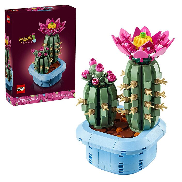 Review LEGO Botanicals 11509 Flowering Cactus