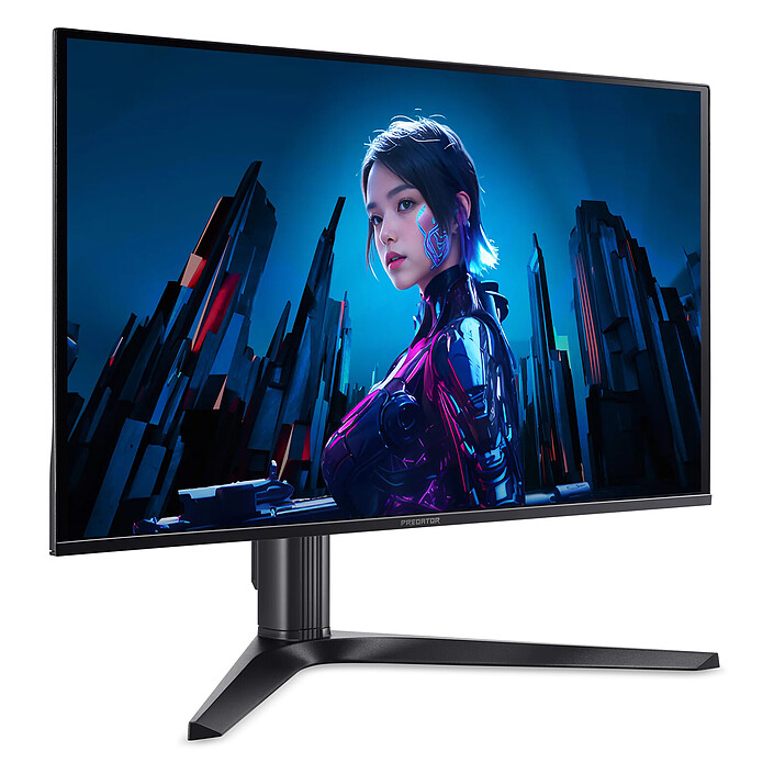 Monitor PC