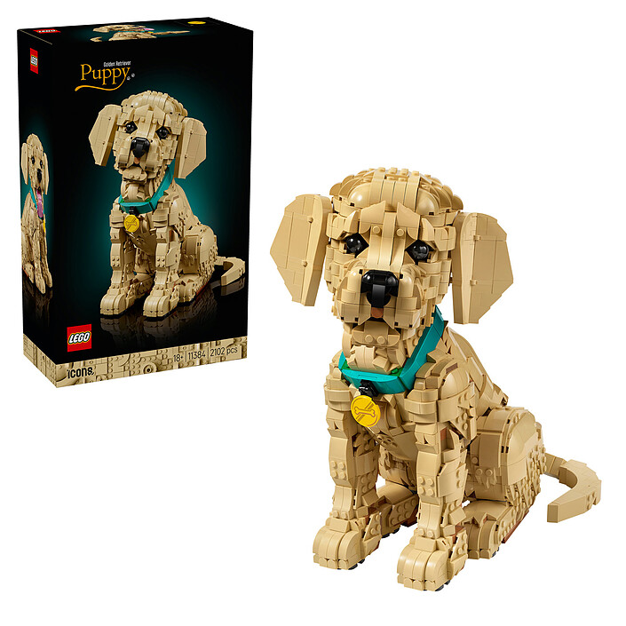 Avis LEGO Icons 11384 Le Chiot Golden Retriever