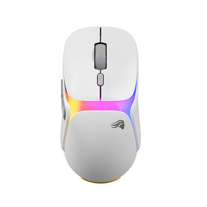 Souris PC