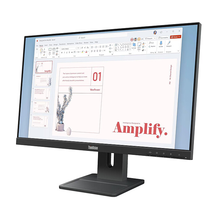 Avis Lenovo 23.8" LED - ThinkVision E24-40