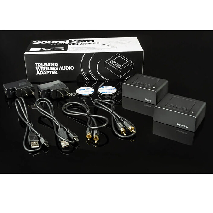 cheap SVS SoundPath Multi-Band Wireless Audio
