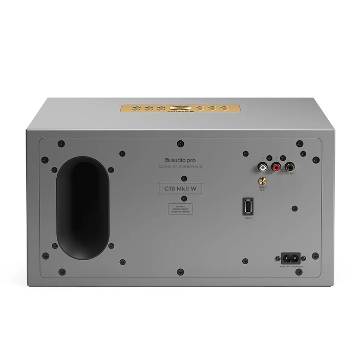 Acheter Audio Pro C10 MKII W Gris