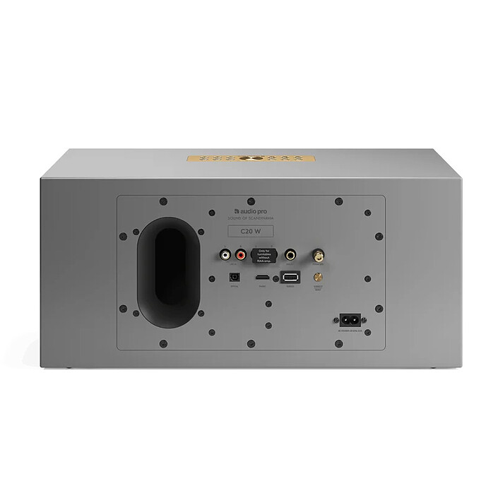 Acquista Audio Pro C20 W Grigio