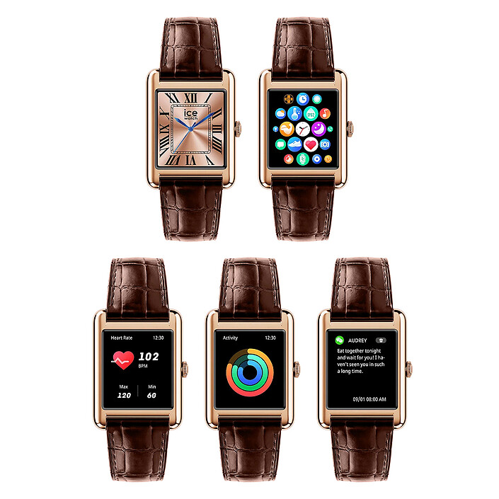 Buy Ice Watch Ice Smart TKS 2.0 (Rose Gold / Brown) + Ice Boliday White/Gold FREE !