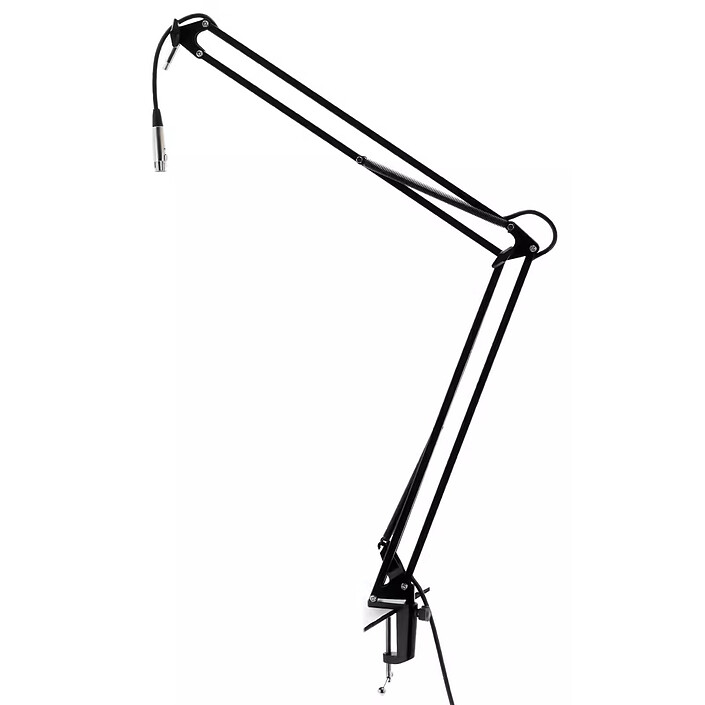 Microphone