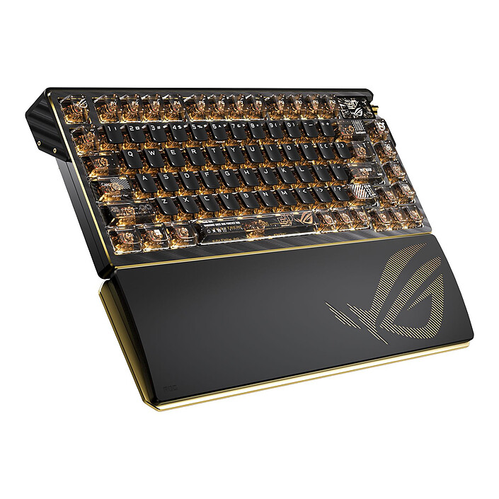 Avis ASUS ROG Combo Edition 20