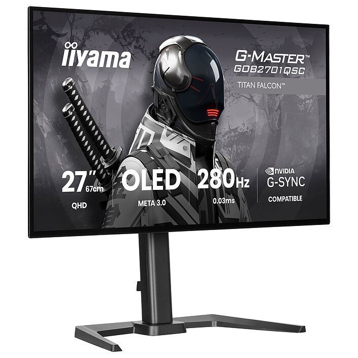 Ecran PC
