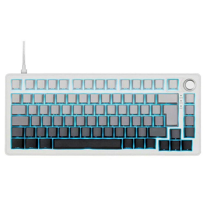 The G-Lab Keyz Elite 300 (Gris/Blanc)