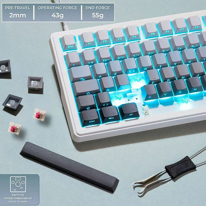 The G-Lab Keyz Elite 300 (Gris/Blanc) pas cher