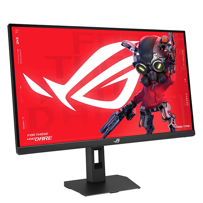 Ecran PC