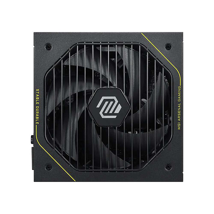 Avis MSI MAG A1000PLS PCIE5