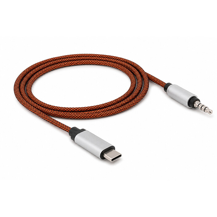 DeLock Cavo da USB-C a Jack 3,5 mm - M/M - 1.2 m