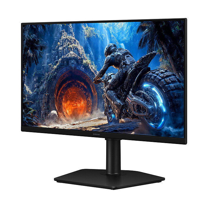 Avis Samsung 25" LED - Odyssey G4 S25HG402EU