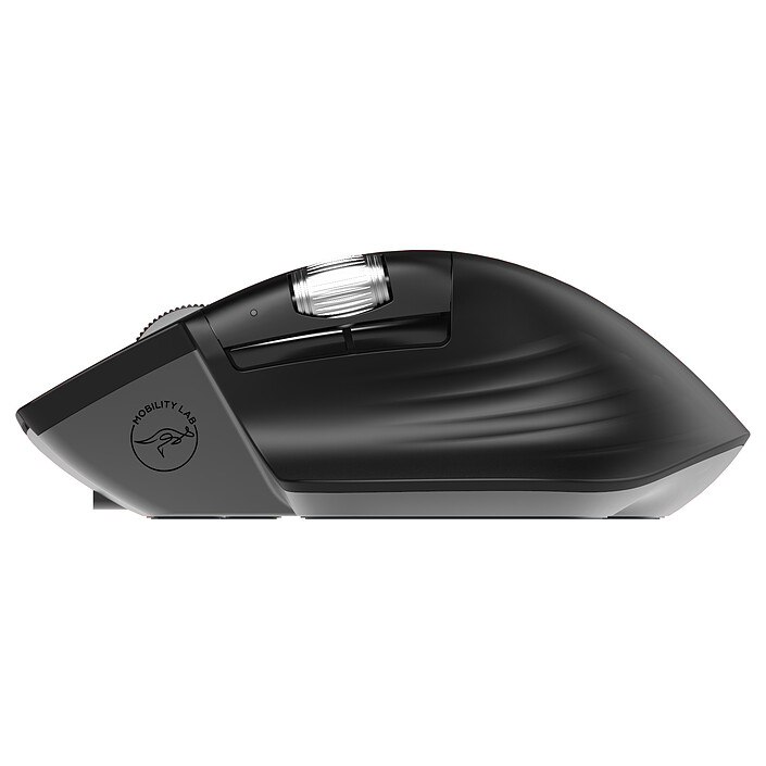 Mouse