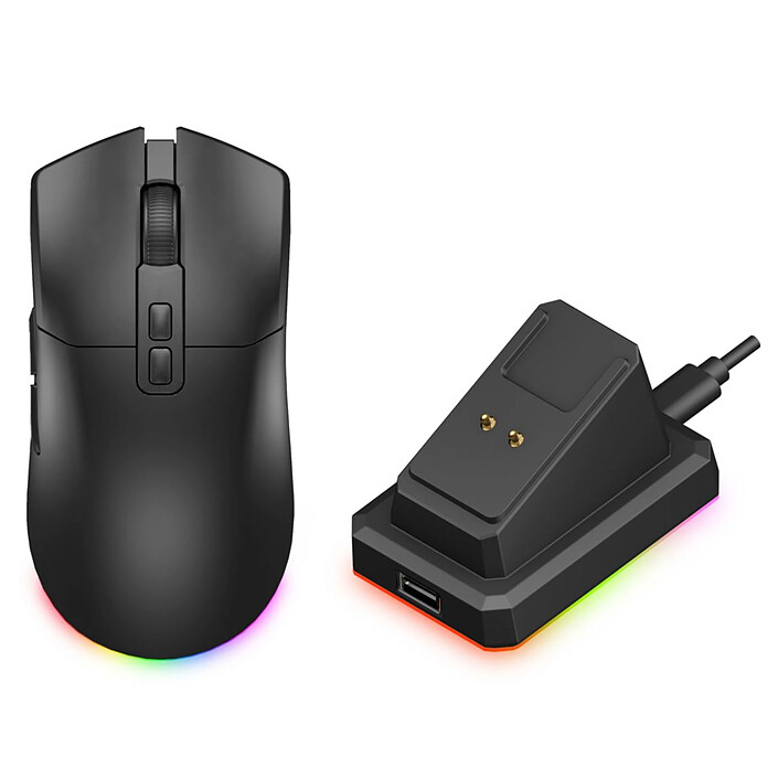 Souris PC