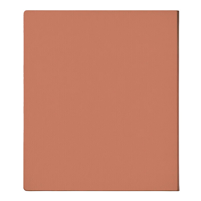 Liseuse eBook