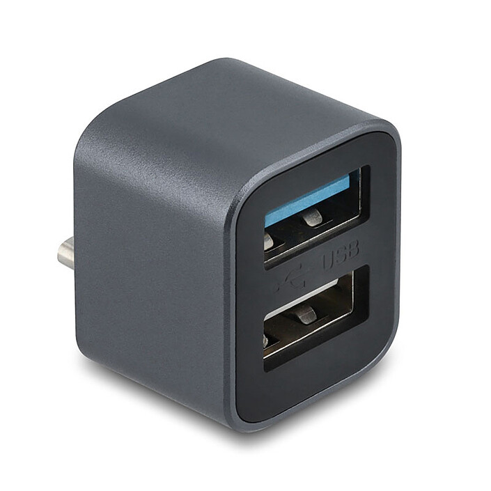 DeLock Mini Hub USB 10 Gbps Type-C vers USB-A 10 Gbps et USB-A 2.0
