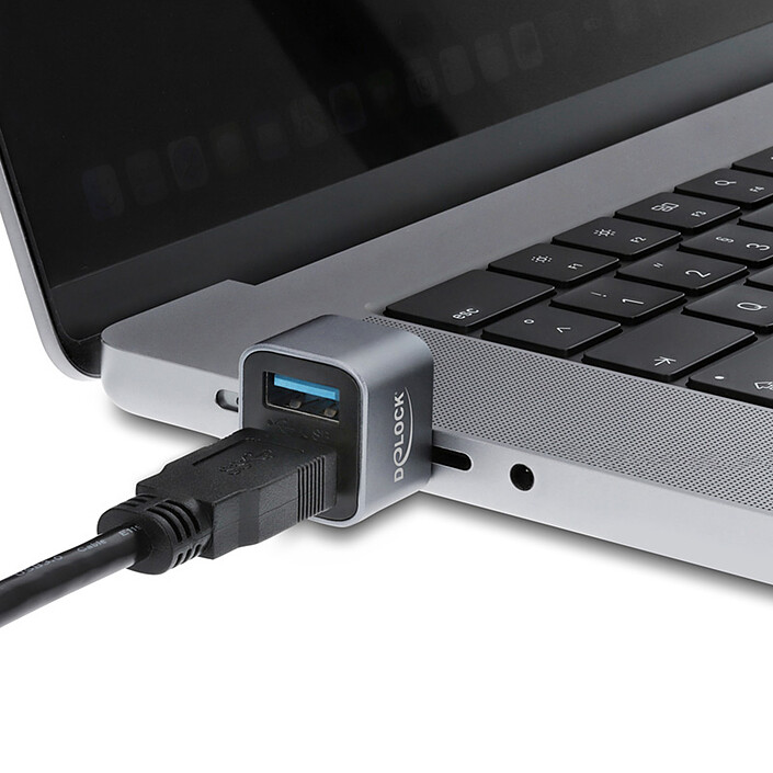 Avis DeLock Mini Hub USB 10 Gbps Type-C vers USB-A 10 Gbps et USB-A 2.0
