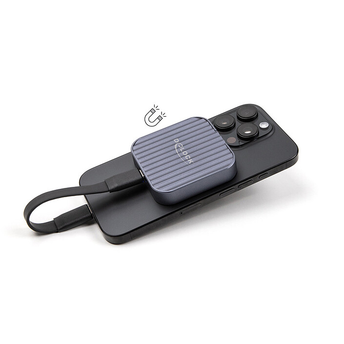Acheter Delock Boitier magnétique USB-C 10 Gbps pour SSD M.2 PCIe ou SATA