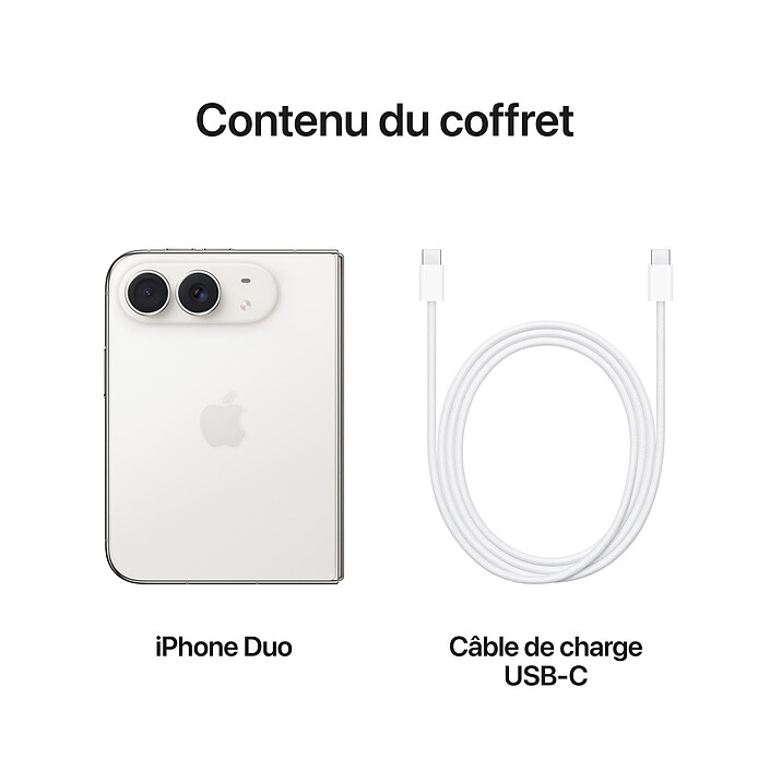 Apple iPhone Duo 1 To Blanc stellaire pas cher