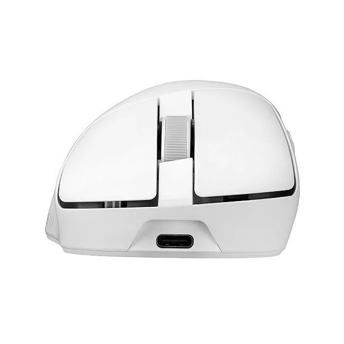 Mouse
