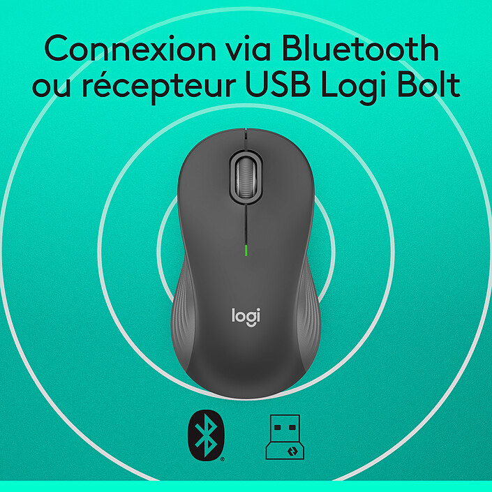 Souris PC