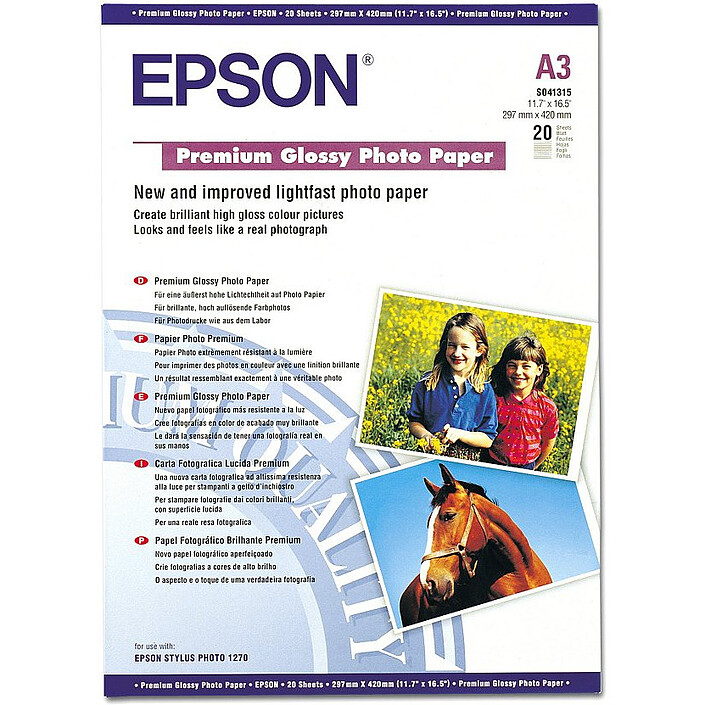 Epson C13S041315