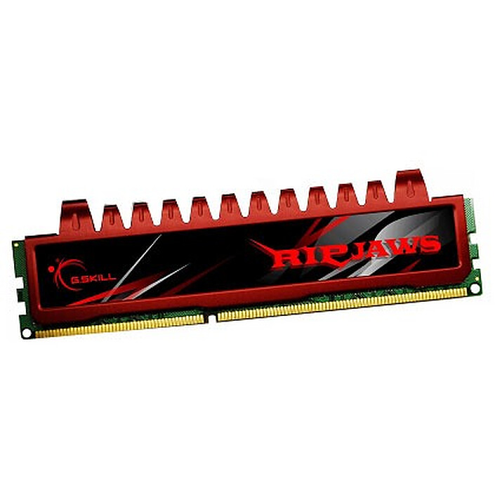 G.Skill RL Series RipJaws 4 Go DDR3 1333 MHz