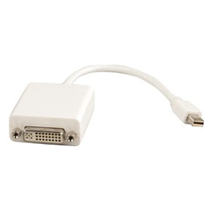 DisplayPort