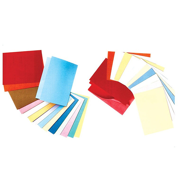 Rainex 100 Chemises  24 x 32 cm 250 g Coloris Aléatoires