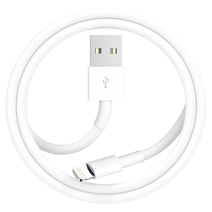 Acheter Avizar Chargeur Secteur USB pour iPhone 1A 5W avec Câble USB-A vers Lightning 1m Blanc