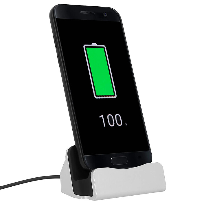Avizar Station d'accueil pour Smartphone Charge & Synchro connecteur USB Type C Argent