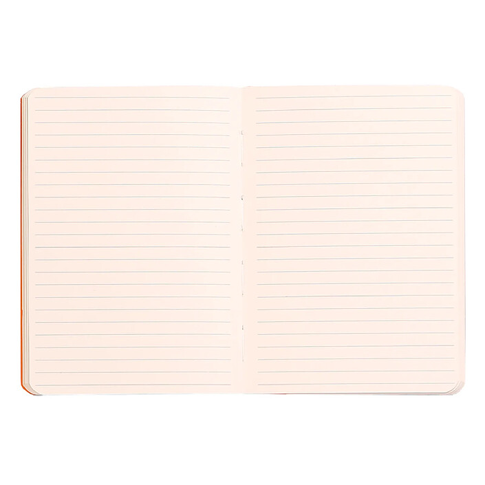 Carnet