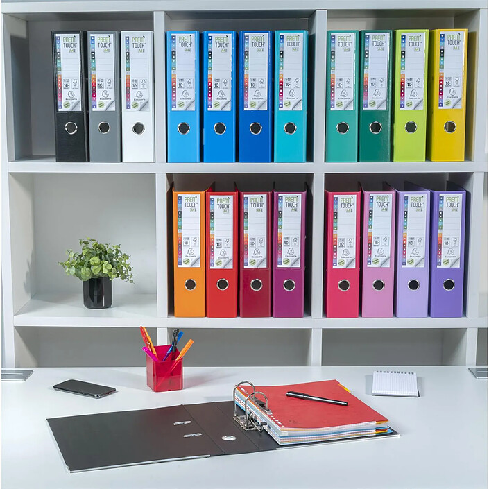 EXACOMPTA Classeur à levier Prem'Touch intérieur extérieur Polypro Dos 80mm A4 maxi Bordeaux pas cher