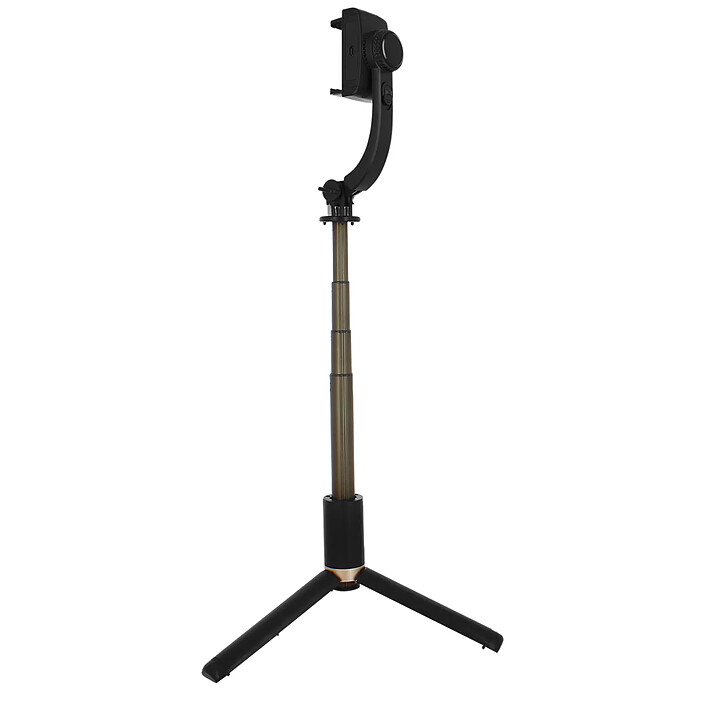 Avizar Perche Smartphone 2 en 1 Stabilisateur Télécommande Bluetooth Série Q08