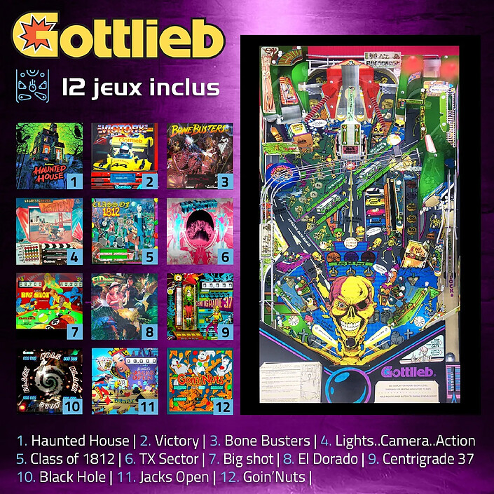 Acheter Flipper 21C Digital - Flipper numérique avec 12 jeux classiques Gottlieb