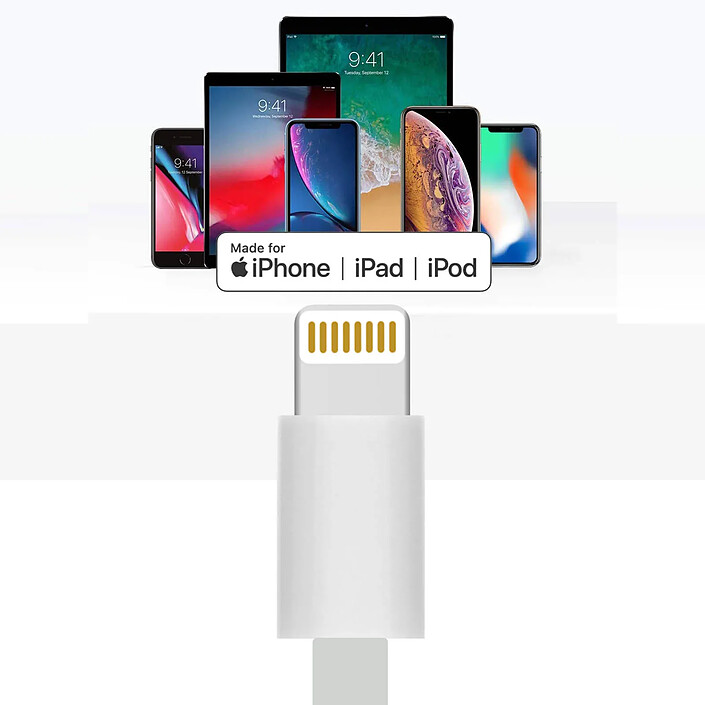 Avizar Câble Adaptateur 30 broches vers Lightning Charge et Synchronisation pas cher