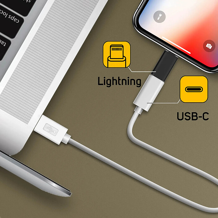 Acheter Avizar Adaptateur pour iPhone Lightning vers USB-C femelle Charge et Synchro