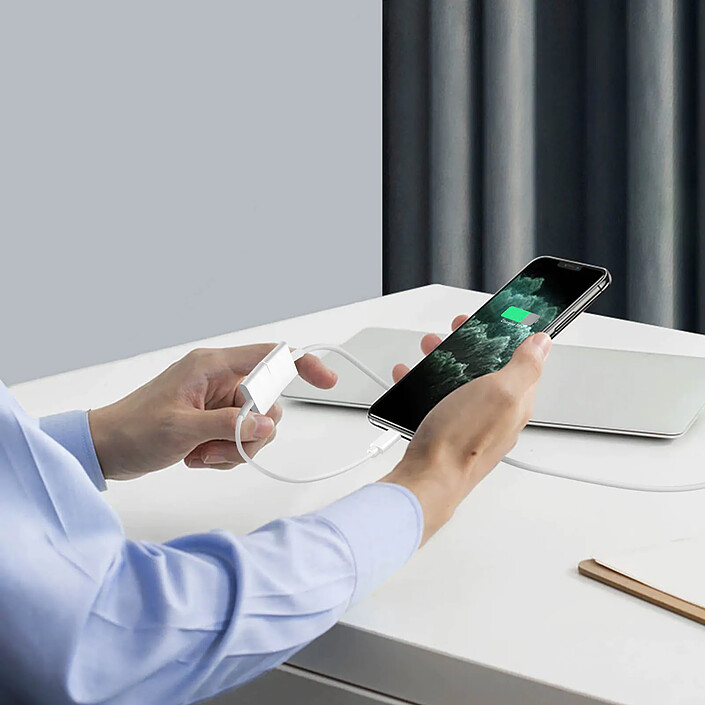 Avis Avizar Câble Adaptateur 30 broches vers Lightning Charge et Synchronisation