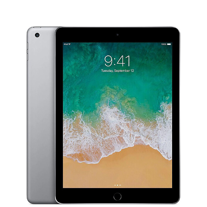Apple iPad (2018) WiFi 128Go Gris Sidéral · Reconditionné