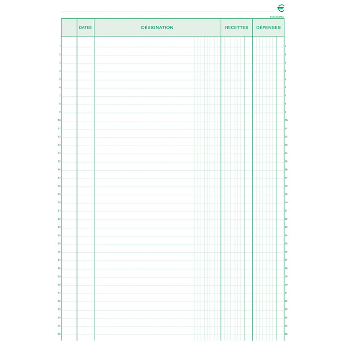 EXACOMPTA Manifold 'Recettes-Dépenses' 297 x 210 mm 50 feuillets dupli