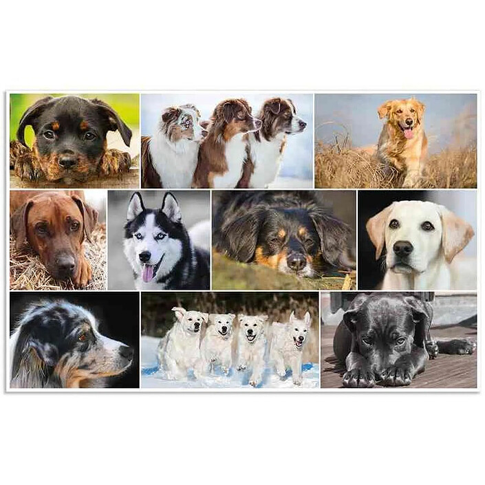 HERMA Sous-main 'chiens', (L)550 x (H)350 mm