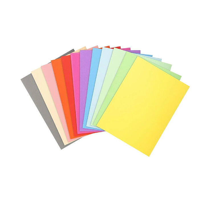 EXACOMPTA Paquet de 100 chemises Forever® 220 100% recyclé 24x32cm Assorties x 5