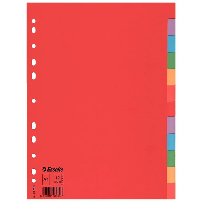 ESSELTE Jeu Intercalaire carton 160g A4 12 touches multicolores x 10