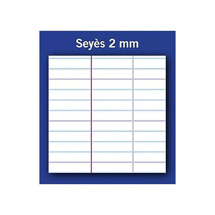 Avis CONQUÉRANT Cahier Polypro 4 en 1, 240 x 320 mm seyès 140 Pages 90g