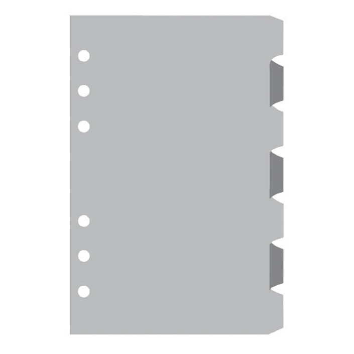 EXACOMPTA Recharge accessoire Exatime 21 intercalaires de couleur jeu de 7 210x142 mm