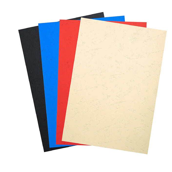 EXACOMPTA Paquet de 100 couvertures matière synthétique - reliure A4 - Couleurs assorties x 4