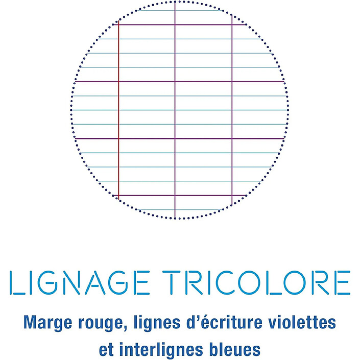 Avis CLAIREFONTAINE Lot de 4 Cahiers Piqués A4 96 pages 90g Séyès