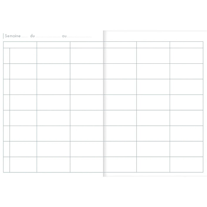 CLAIREFONTAINE Agenda de bord brochure souple 21x29,7 144p 48 cases par semaine pas cher